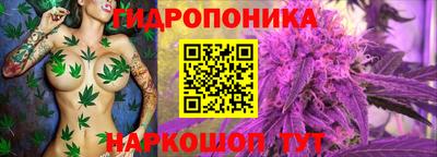 гашик Лесосибирск