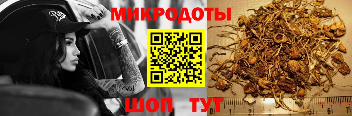 Псилоцибиновые грибы Psilocybine cubensis  Псилоцибиновые грибы Cubensis  Вязьма  Вход с VPN 