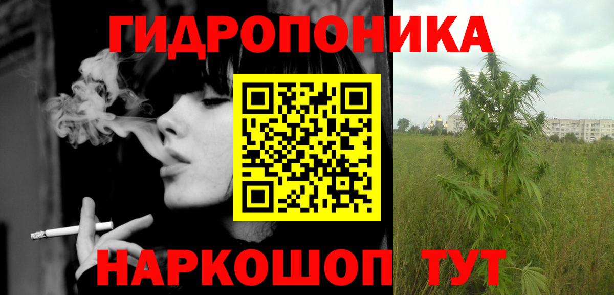 Вязьма  Канабис ГИДРОПОН  Марихуана Amnesia  МАРИХУАНА сатива  Каннабис марихуана  Вход с VPN 